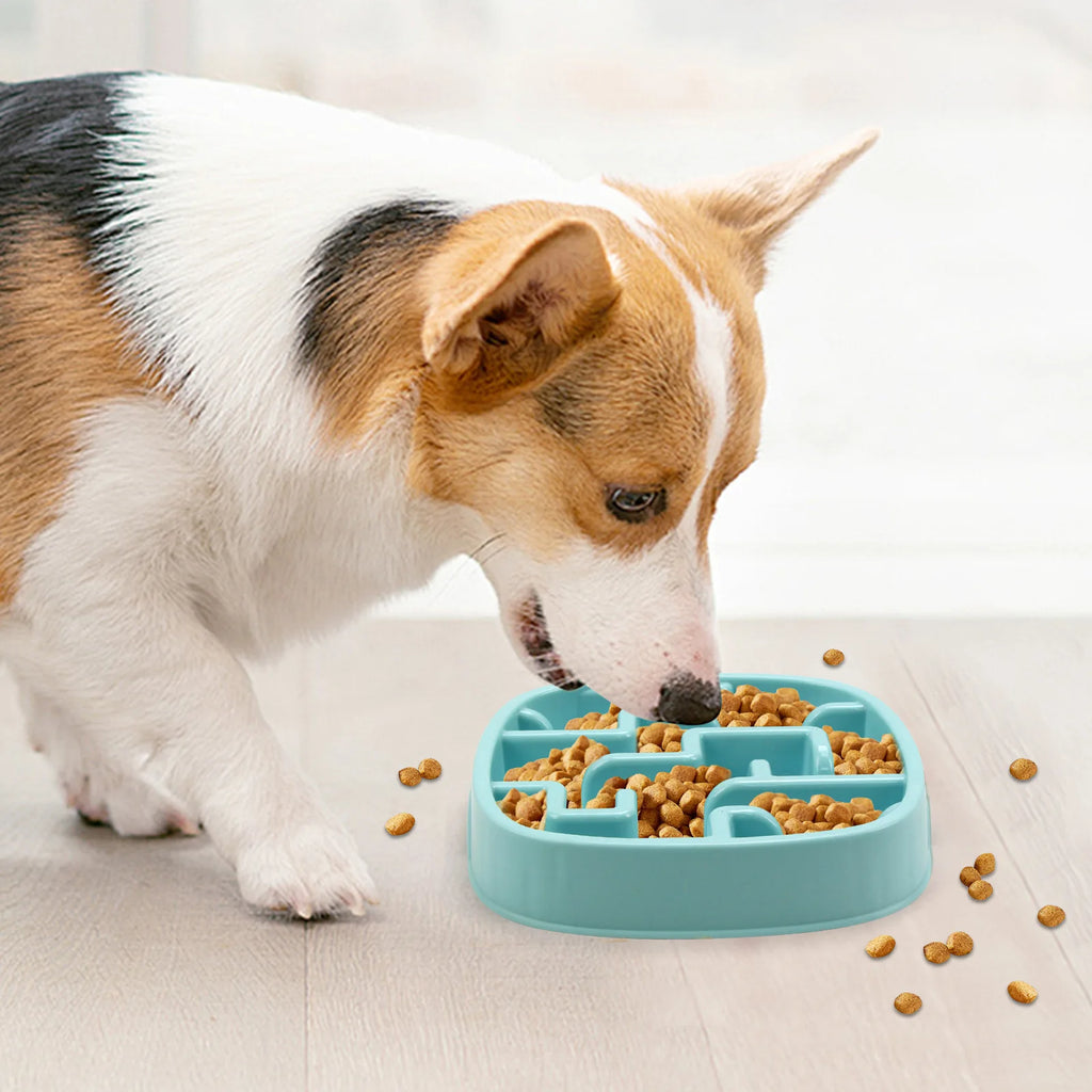 PP Material Pet Bowls Set – Dog & Cat Slow Food Bowls, Non-Slip Feeding Bowls & Durable Pet Supplies Oasis Select