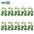 10-100PCS 3 Kinds Eucalyptus Leaves Artificial Silver Dollar Leaves Picks Dried Eucalyptus Home Decoration Party Decoration Oasis Select Style A-10PCS