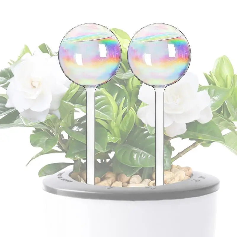 Plant Watering Globes Rainbow Gradient Color Automatic Watering Bulbs Clear Flower Automatic Watering Device Auto Waterer Tool Oasis Select