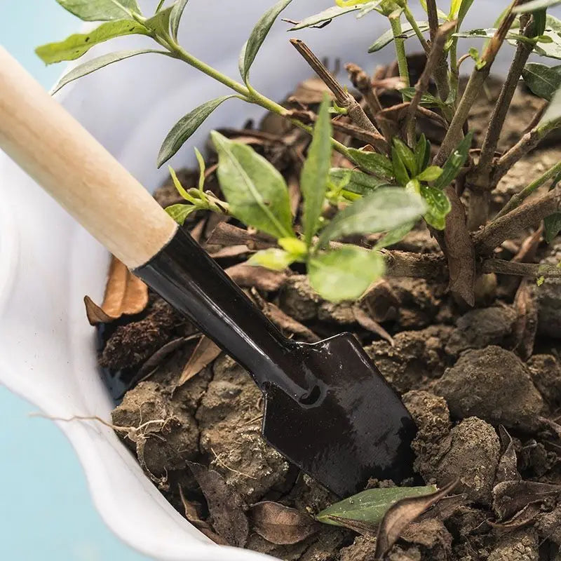 3PC/1Set Mini Gardening Tools Portable Shovel With Handles For Garden Plants Flower Pot Vegetables Digging Weeding Indoor Oasis Select