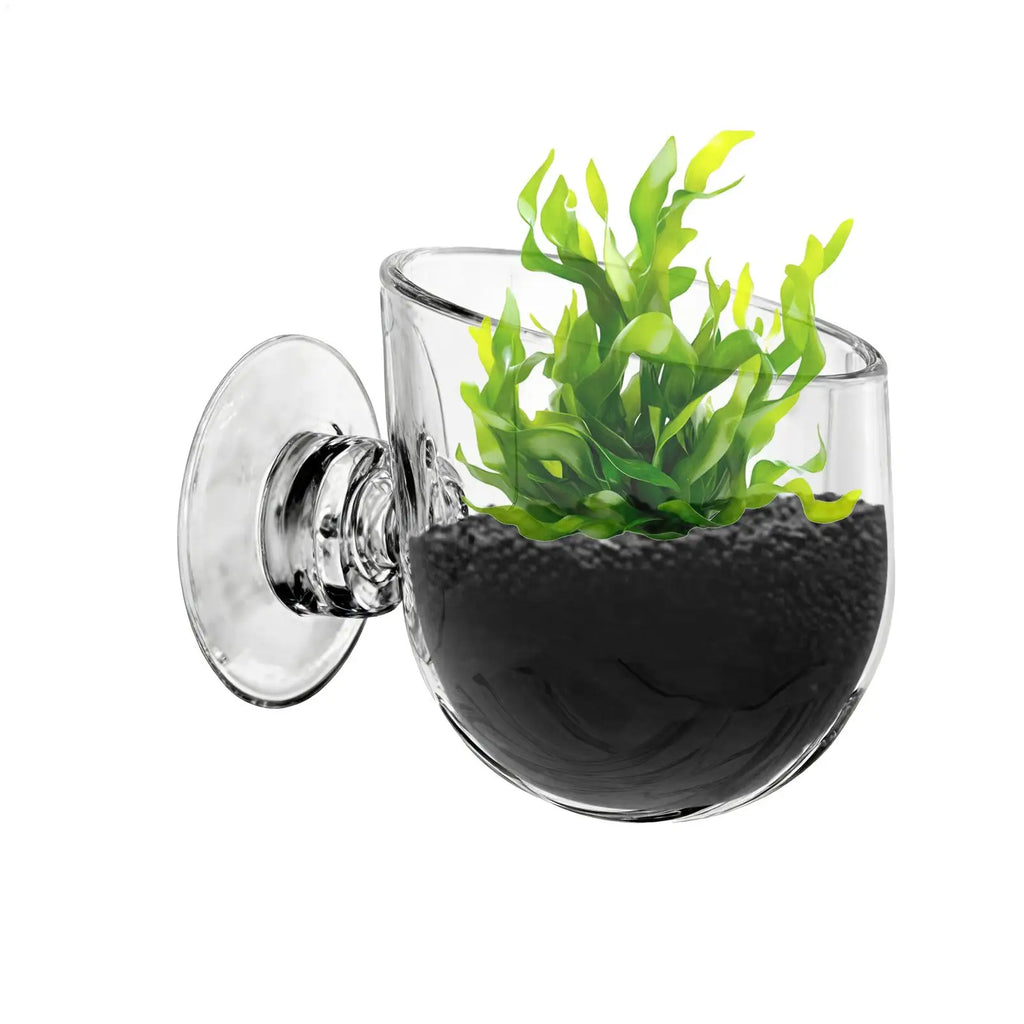 aquarium plant Cup Hanging fish tank Water potted planting cylinder cup aquarium plant holder Aquarium decoration Oasis Select