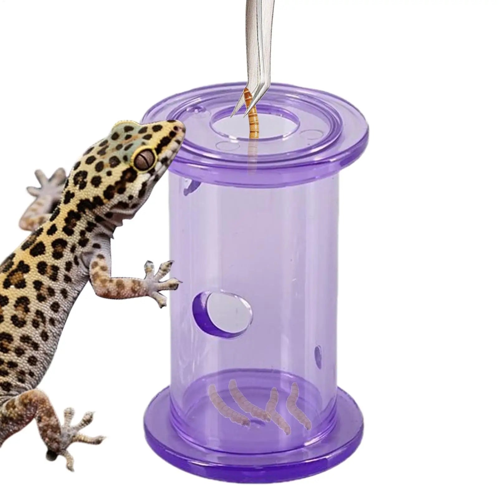 Reptile Feeding Food Bowl Slow Feeder Rolling Cylinder Clear Bearded Dragon Parakeet Foraging Toys for Bird Gecko Lizard Parrot Oasis Select