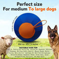 Large Dog Ball Interactive Moving Toys Pet Supplies Herding Ball Dog Toy Ball Dog Fetch Ball Toy Tough Pet Ball Puppy Chew Toy Oasis Select Blue