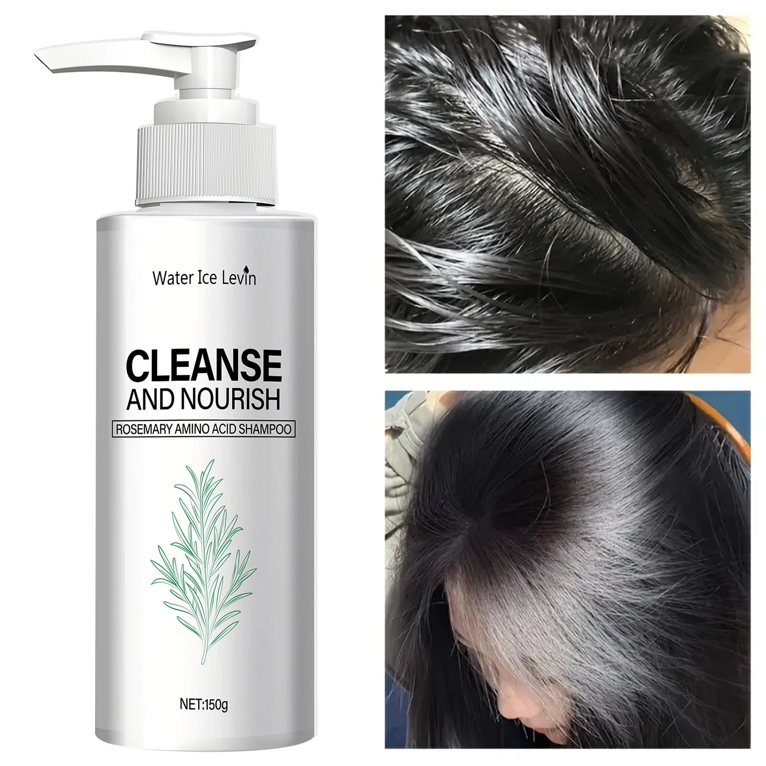 Rosemary Amino Acid Shampoo with Ginger Root Extract – 150g Nourishing Shampoo Oasis Select