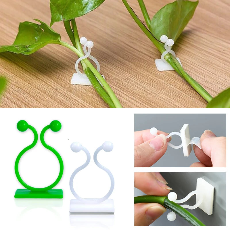 Plant Climbing Wall Self-Adhesive Fixed Buckle Hook Fastener Tied Fixture Vine Buckle Hook Garden Plant Wall Climbing Vine Clips Oasis Select