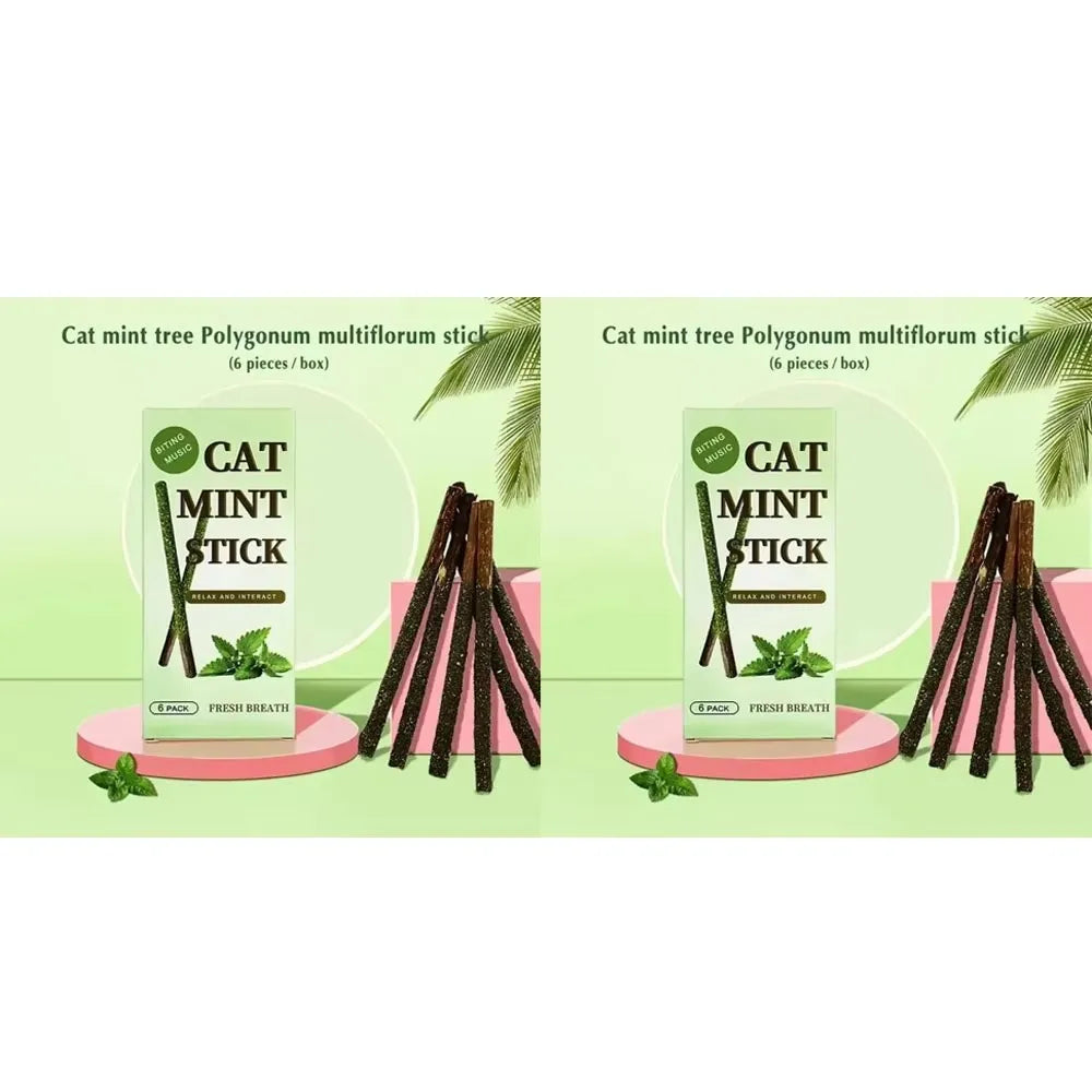 1/2/3/4box Natural Cat Stick Mint Caught Bite Excited Rods Silvervine For Cat Teeth Cleaning Treating Pet Supply Cat Supplies Oasis Select 2box Green