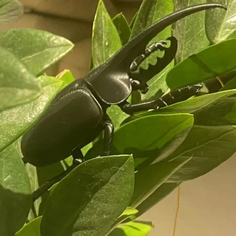 3D Printed Hercules Beetle Model - Realistic Dynastes Heracles Figurine, Insect Collectible for Education & Desk Decor Gift Oasis Select
