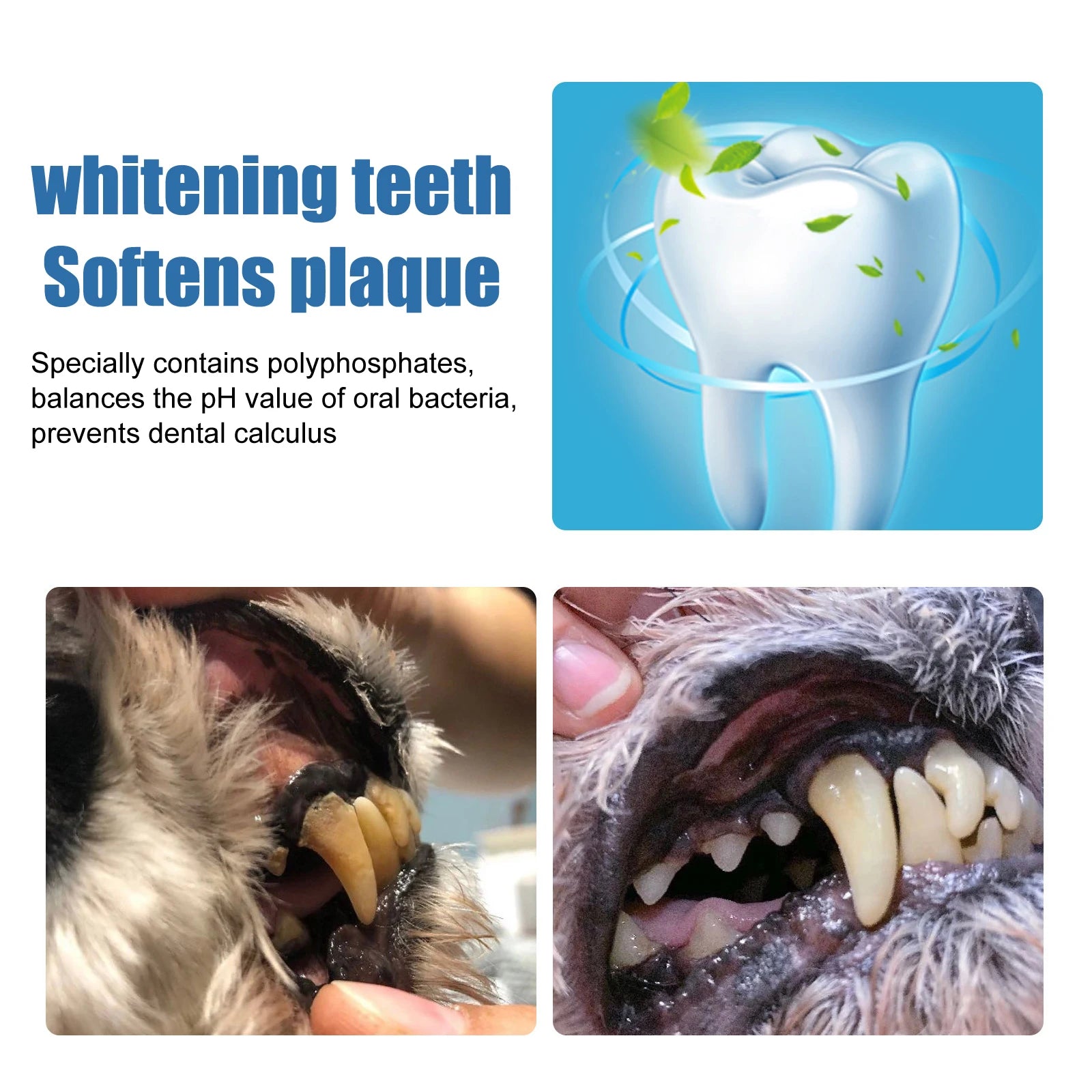 Pet Oral Tartar Remover Spray Deep Clenaing Yellow Teeth Eliminate Bad Breath Fresh Breath Whitening Teeth Pet Oral Foam Cleaner Oasis Select