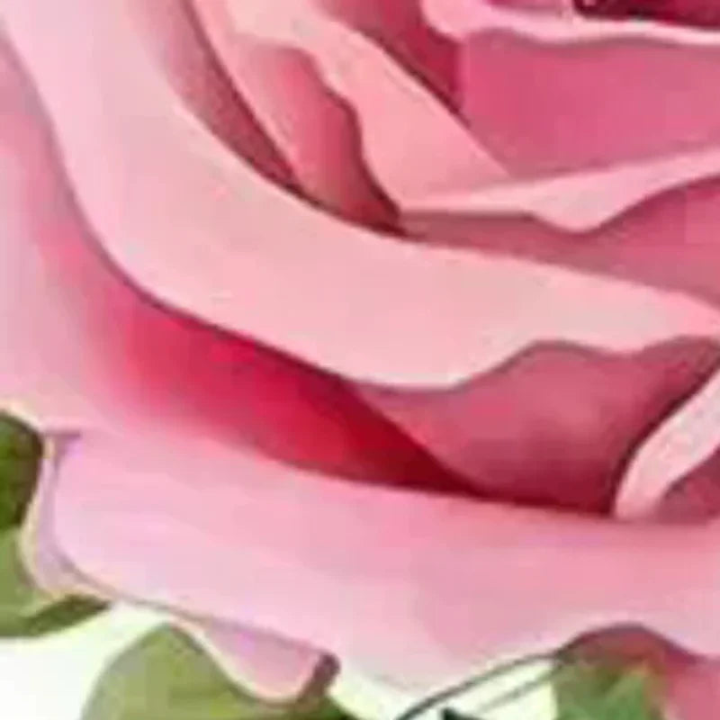 15*15cm Red Rose Romantic Toilet Sticker Bathroom Toilet Decor Living Room Cabinet Refrigerator Home Decoration Decals Oasis Select