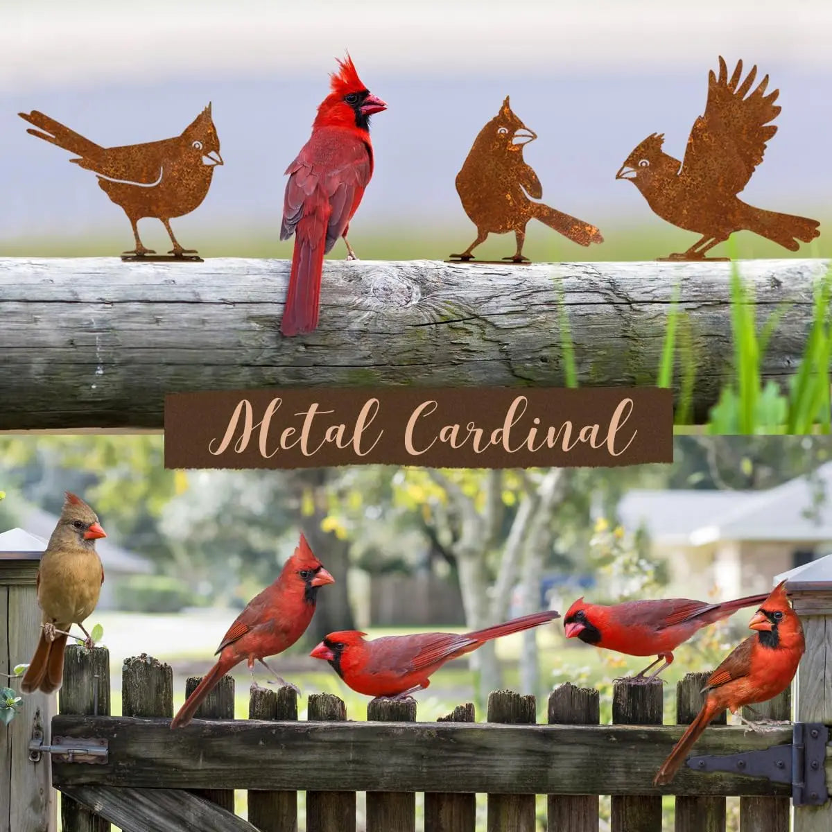 5PCS Metal Bird Wall Decor Rustic Farmhouse Outdoor Yard Art Garden Sculpture Fence Patio Ornament Weathered Steel Set Oasis Select