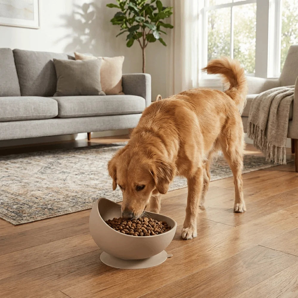 Elevated Slow Feeder Pet Bowl | Non-Slip Silicone Suction Cup