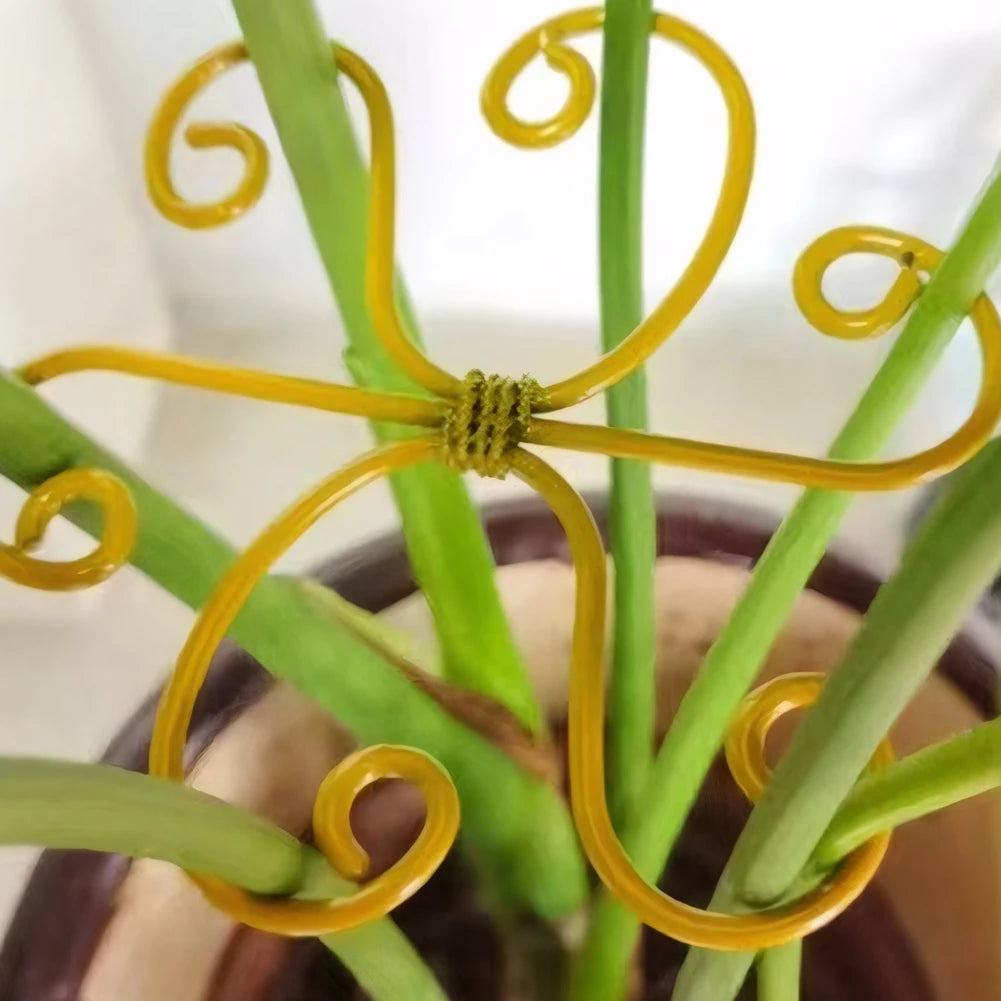 5-Pack Metal Plant Stem Support & Monstera Stabilizer Set Plant Stem Support Oasis Select