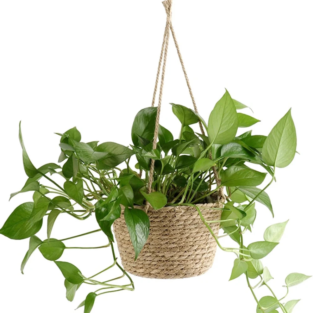 1PC Straw Hanging Basket Planter Twine Woven Flower Basket Rattan Basket Hanging Orchid Pot Pot Hanging Basin Oasis Select