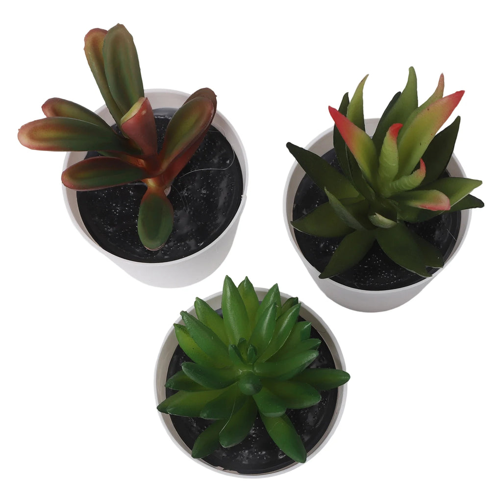 Artificial Succulent Bonsai Set of 3 – Faux Desktop Decor Artificial Succulent Set Oasis Select