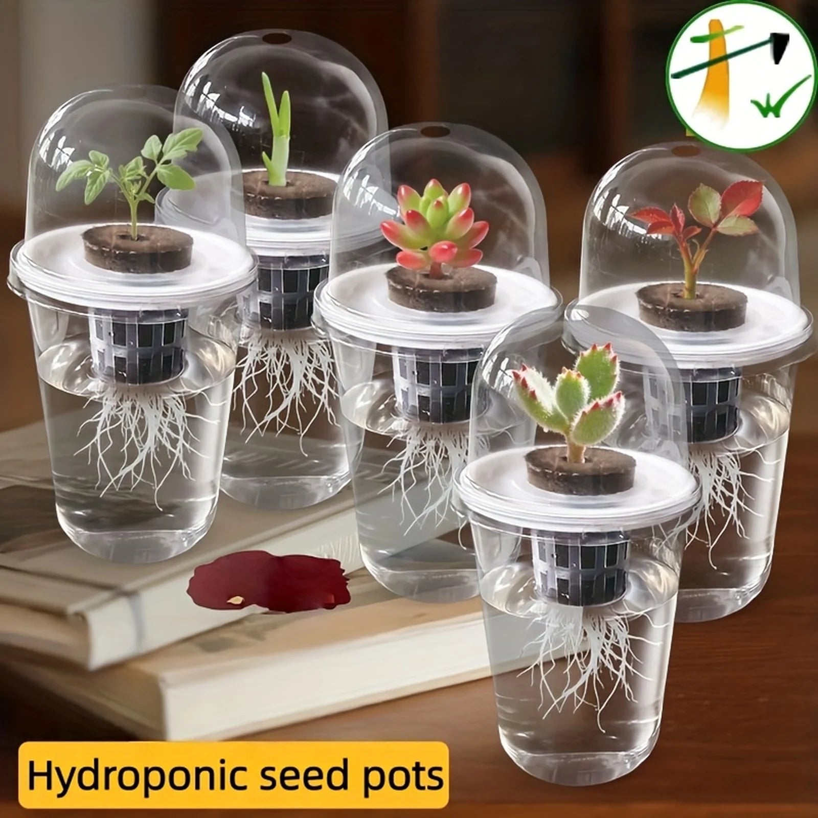 1pc Visible Clear Plants Germination Cup Hydroponic Seed Planter Pots Reusable Durable Seed Starter Tray Plastic View Cups Oasis Select