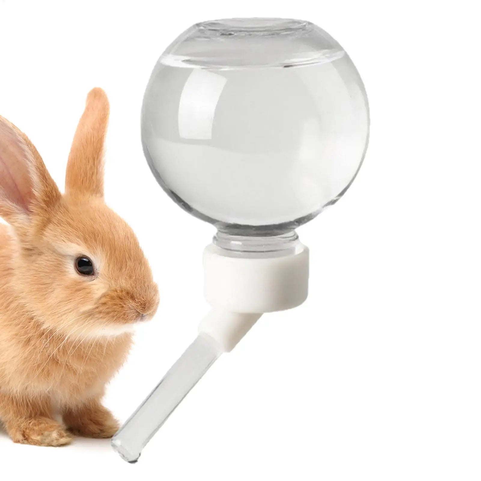 Automatic Hamster Water Bottle Dispenser – No-Drip Small Pet