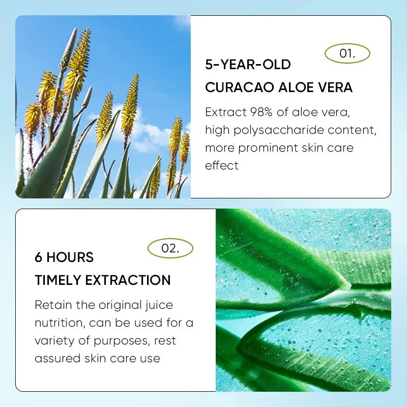 Lip Aloe Balm Nourishing, Refreshing, Hydrating and Moisturizing Preventing Cracking and Repairing Lips Gentle Non Irritating Oasis Select