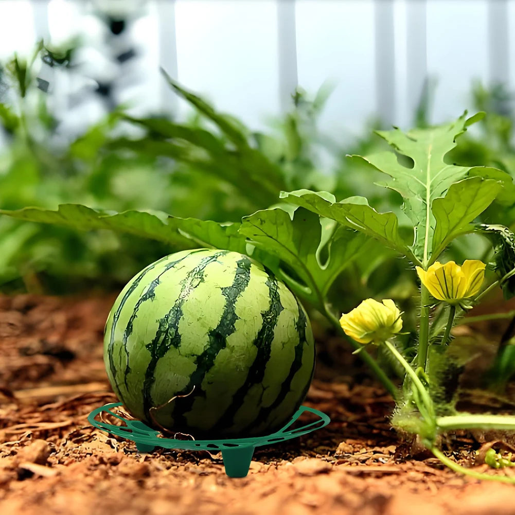 10Pcs Watermelon Cradle Anti-Corrosion Fruit Vegetables Plant Tray Watermelon Protective Holder for Melon Pumpkins Melons Squash Oasis Select