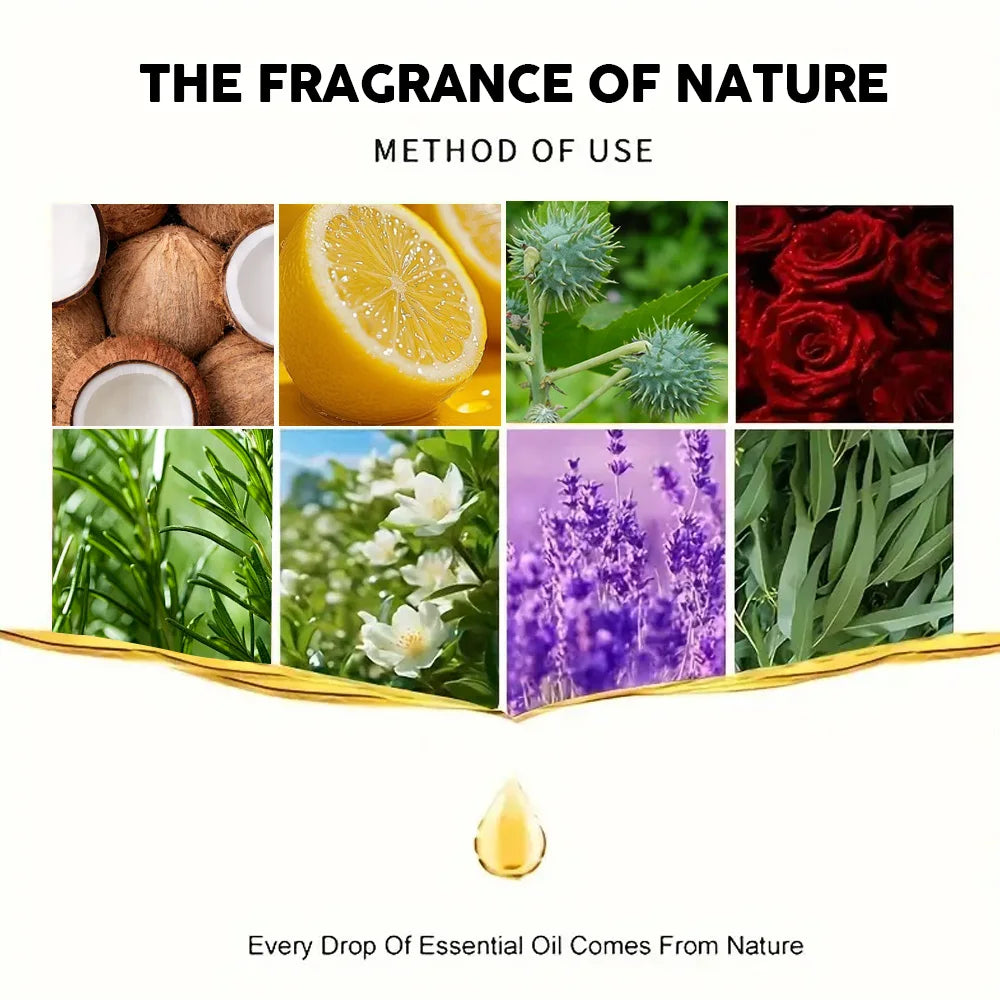 YOUNGCOME 6-Piece Natural Essential Oil Set – Hair & Skin Care