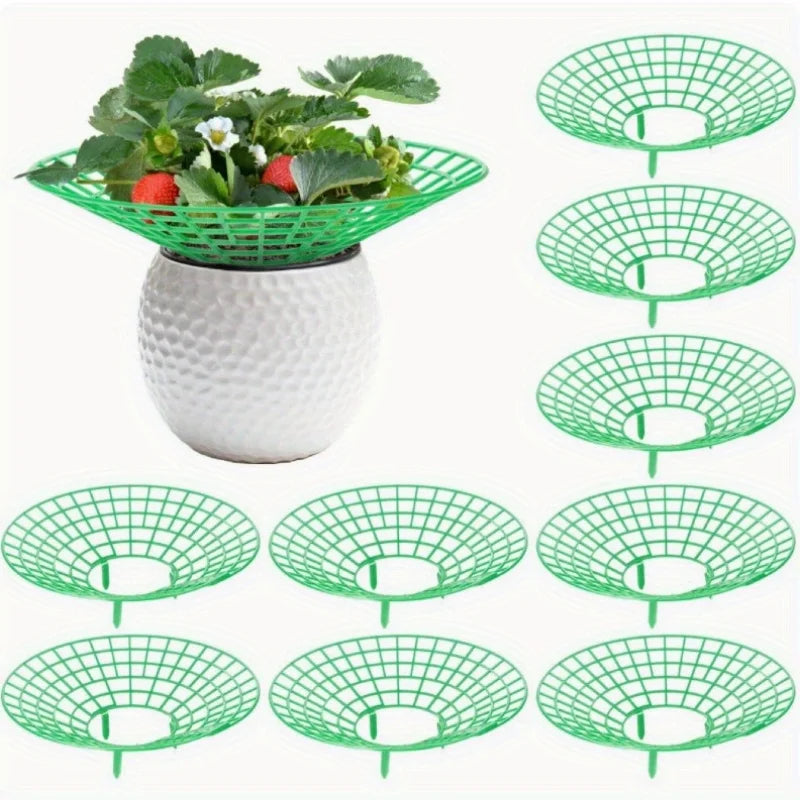 5/10pcs Strawberry Plant Supports with Three Sturdy Legs Provide Protection for Strawberries Against Mold, Rot, and Dirt Oasis Select