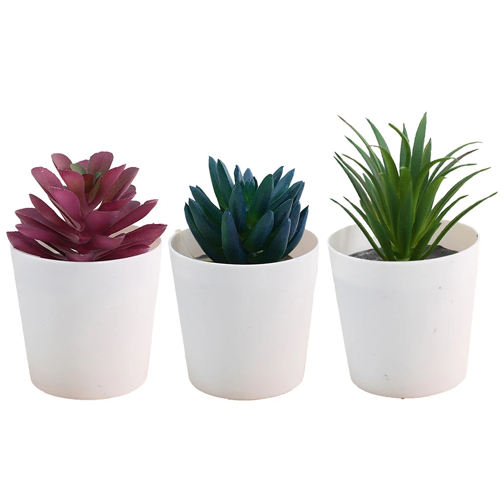 Artificial Succulent Bonsai Set of 3 – Faux Desktop Decor Artificial Succulent Set Oasis Select set2