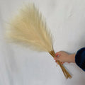 55CM Fluffy Pampas Grass Boho Decor Flower Fake Plant Reed Simulated Wedding Party Home Decoration Artificial Flowers Oasis Select MYL 1pc