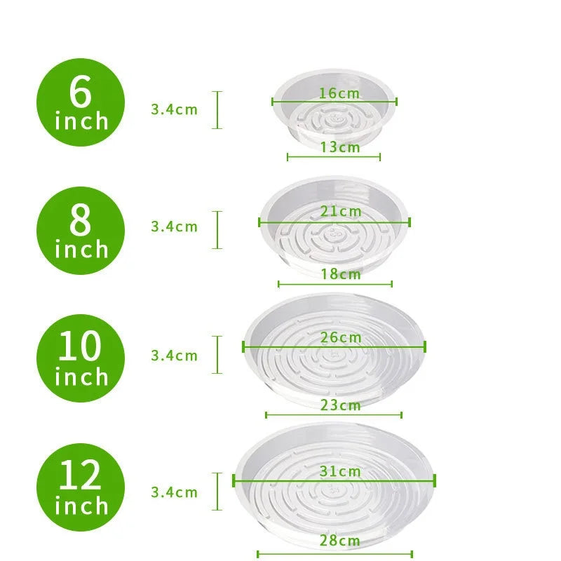 Flowerpot Base Transparent Horticultural Plant Pot Base Anti-Slip Circular Home Pot Tray Waterproof Indoor Outdoor Plant Saucer Oasis Select
