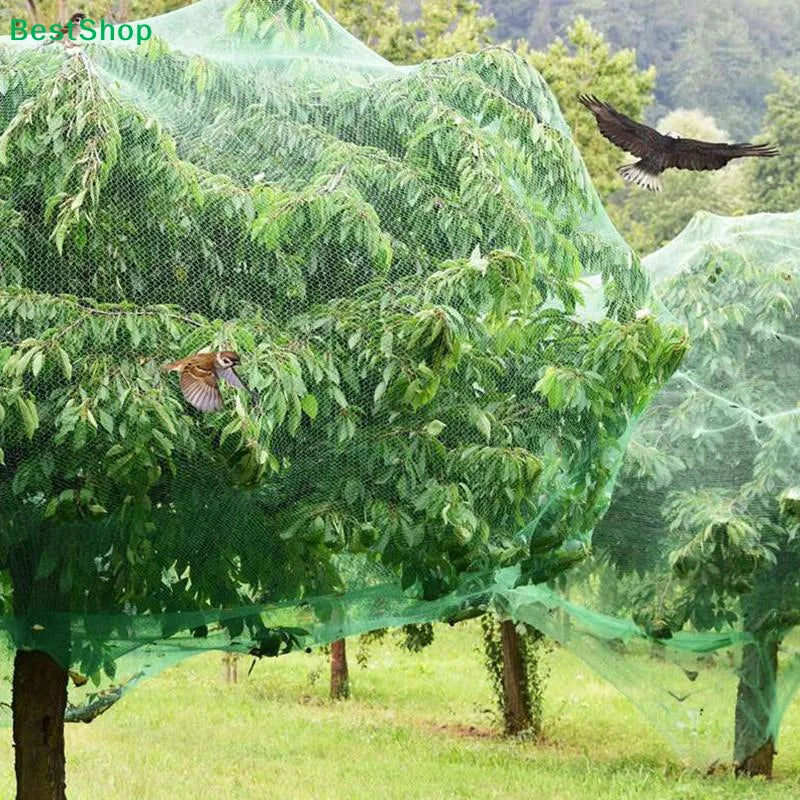 Garden Bird Netting – UV HDPE Pest Mesh for Plants & Fruit Trees