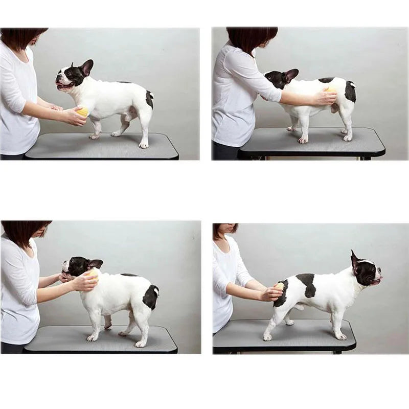 Pet Products For Dog Cat Massage Brush Combs Cleaner Puppy Hair Removal Slicker Brushes Wash Tools Soft Gentle Silicone Bristles Oasis Select