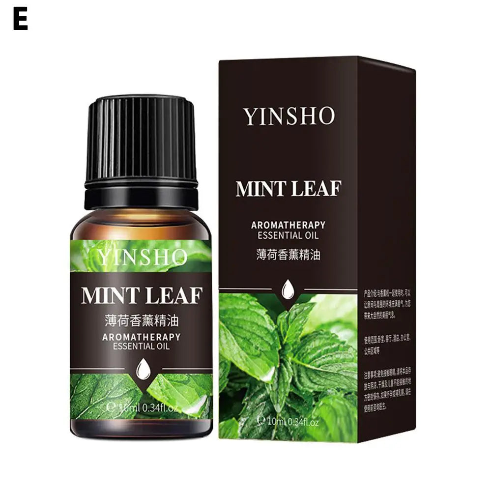 2025 NEW 10ml Essential Oils For Aroma Diffuser AirHumidifier Home Water-soluble Lavender Car Air Fresheners Perfume Refill Oasis Select Mint