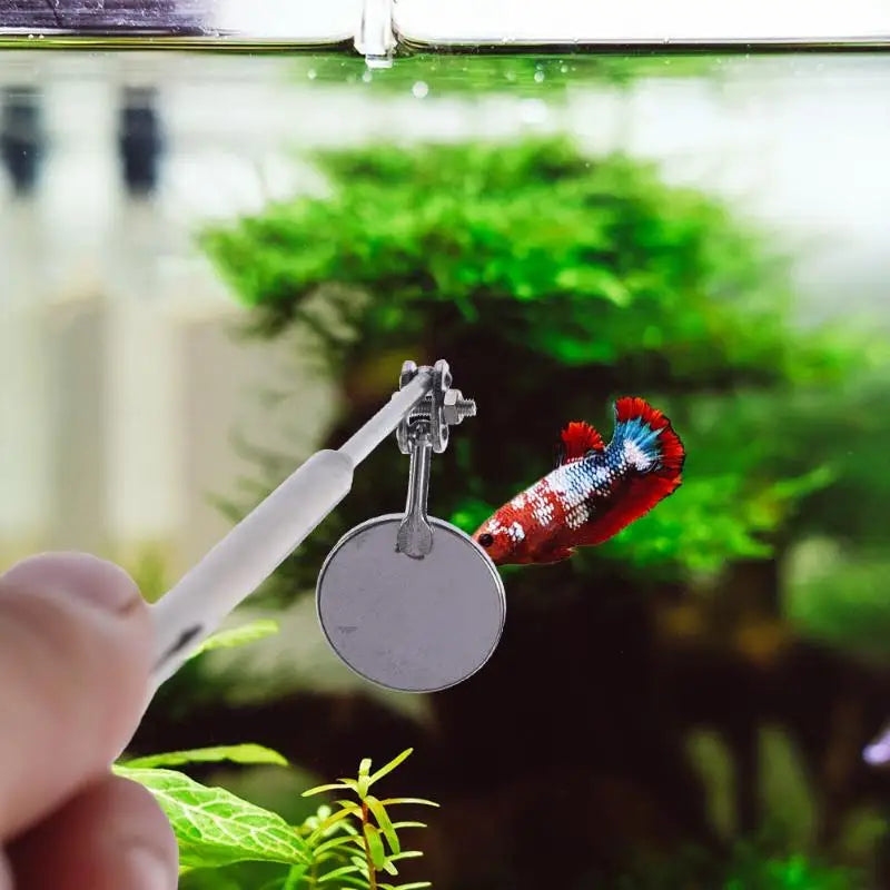 Betta Fish Training Mirror | Extendable Stainless Steel Handle
