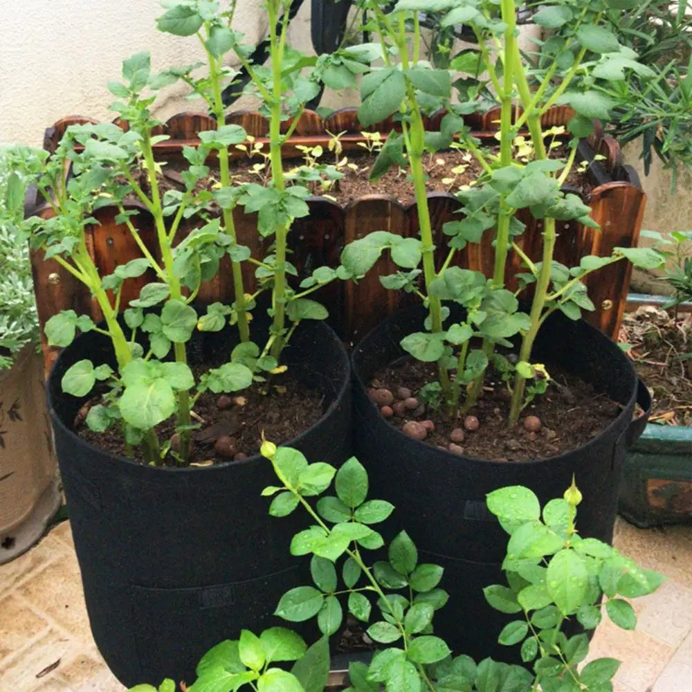 Multi-purpose Thicken Plant Grow Bags Access Flap Harvest Window Potato Pot Aeration Handles Vegetables Planter Tub Outdoor Oasis Select