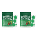 Natural Herbal Body Care Patch Skin Friendly and Breathable Fits the Skin Convenient Soothes and Nurtures the Skin Oasis Select 60pcs