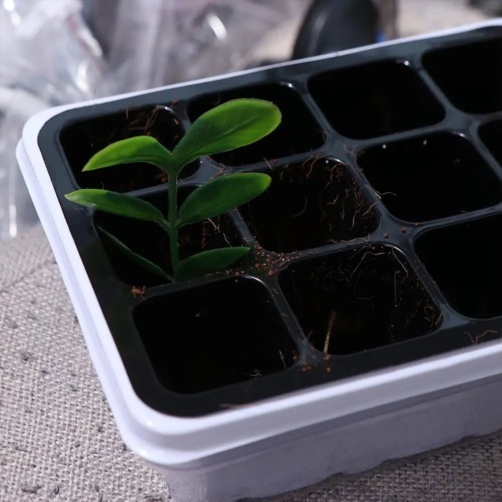 With Cover 12 Cells Seedling Trays White Square Portable Nursery Box Set Breathable Germination Box Greenhouse Oasis Select