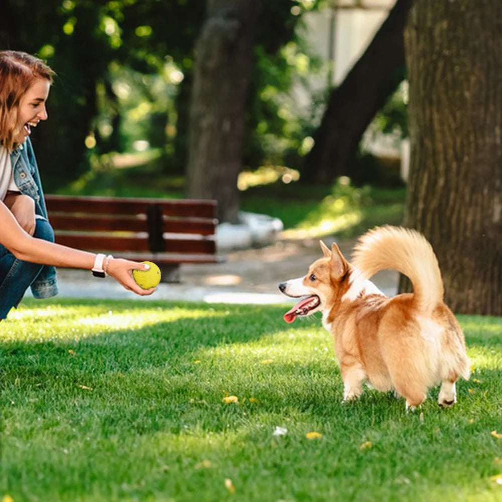 HOBBAGGO Squeaky Dog Ball – Interactive Chew & Teeth Clean Toy