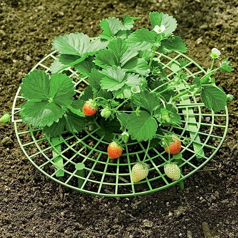 5/10pcs Green Strawberry Planting Rack with 3 Sturdy Stands Versatile Plant for Berries and Small Plants Plant Stand Oasis Select