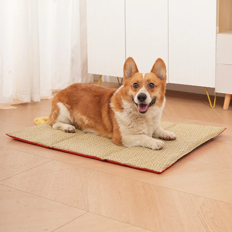 Four-season Pet Mat, Double-sided Dog Mat, Waterproof and Anti-slip for Small and Medium-sized Dogs and Cats in Summer Dog Bed Oasis Select