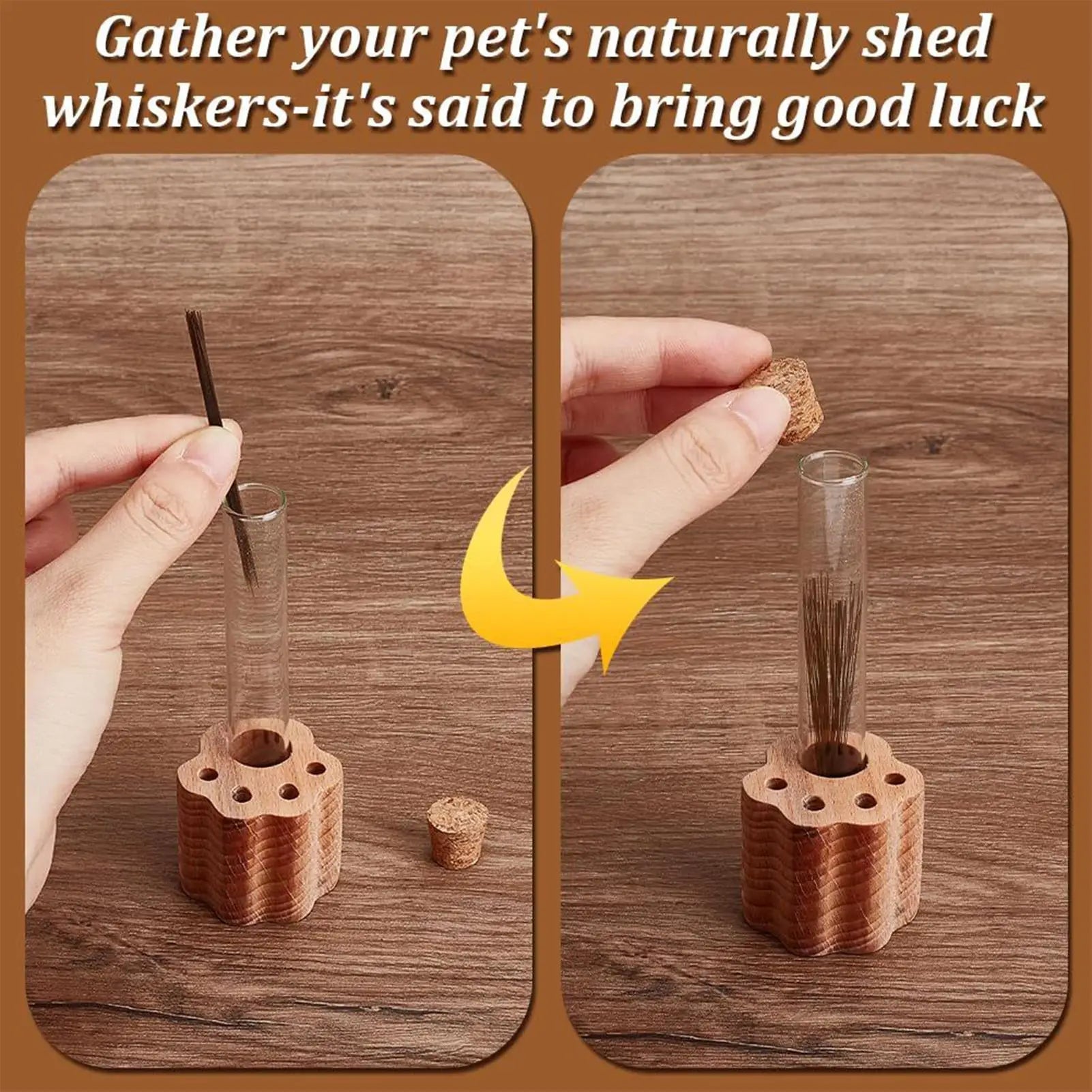 Transparent Glass Loss Of Pet Sympathy Keepsake Cat Whisker Jar Cat Whisker Collection for Women Men Adults Father Mother Friend Oasis Select