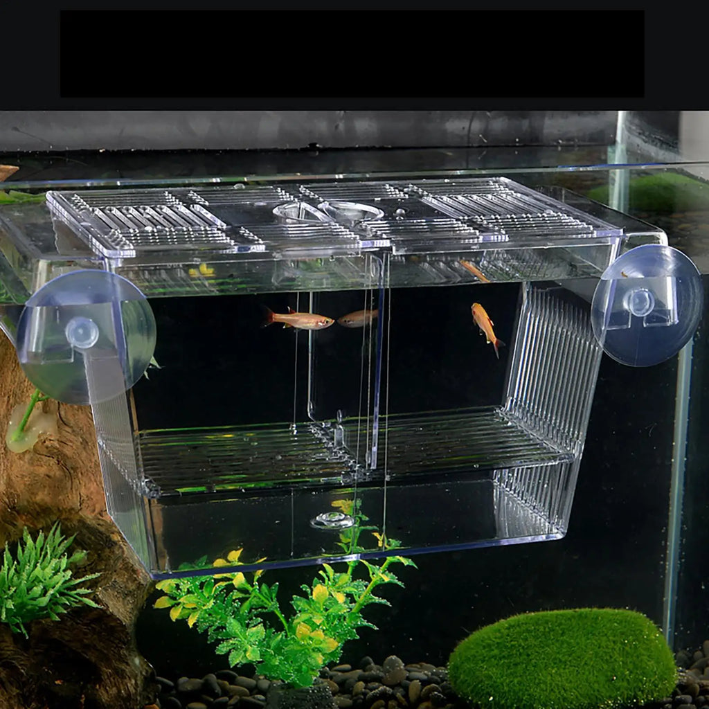 Aquarium Fish Breeder Box Clear Betta Fish Tank Fish Breeding Isolation Box Hatching Incubator Box For Baby Fish Shrimp Trap Box Oasis Select
