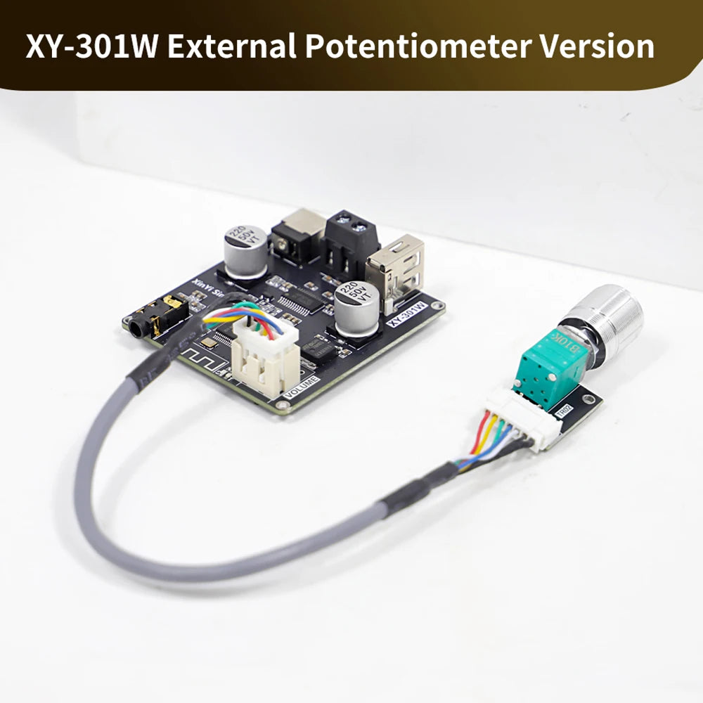 XY-301W Mono 30W Bluetooth Digital Audio Amplifier Board TWS True Wireless Box Connection Stereo DC 9-24V Oasis Select Type B