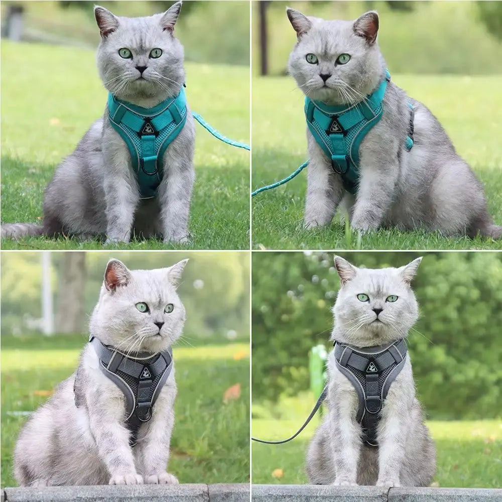 Reflective Vest Cat Harness & Leash Set – Escape Proof Cat Harness & Leash Oasis Select