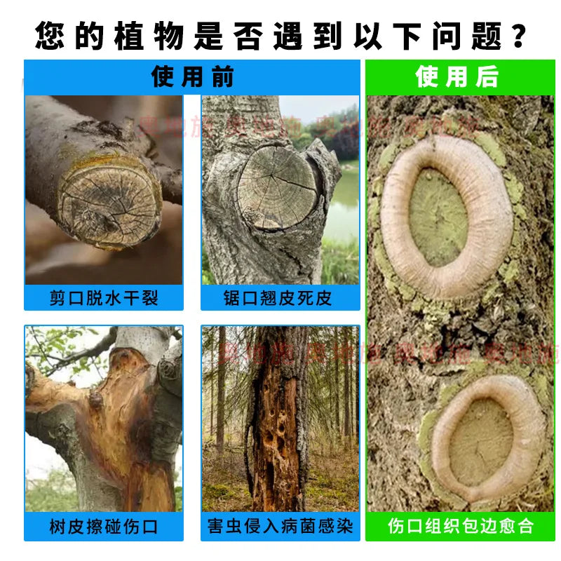 Plant wound healing agent, potted incision smear fruit tree grafting tree smear Oasis Select