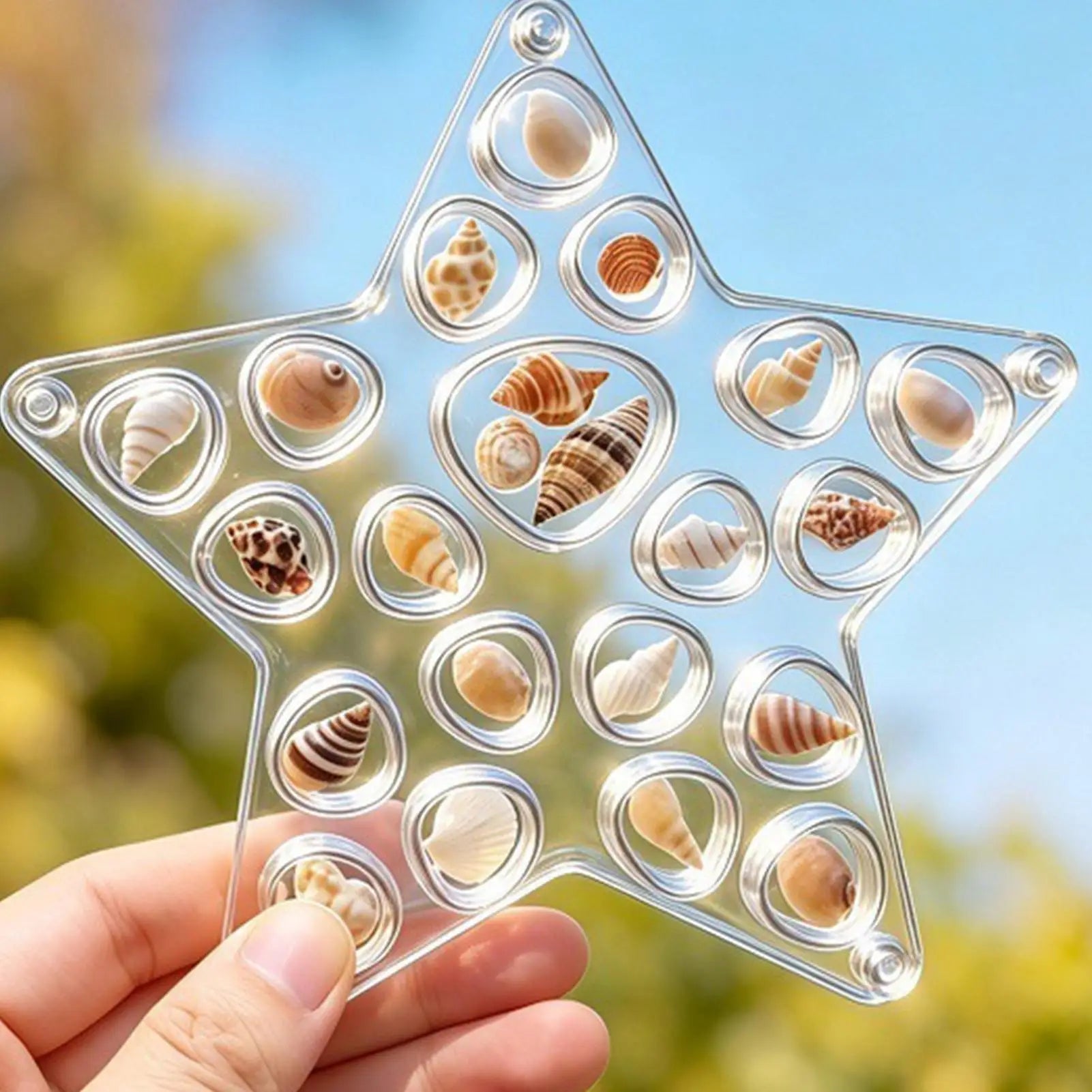 Seashell Holder Display Box Acrylic Organizer Starfish Shell Collecting Box for Girlfriend Women Girls Shark Tooth Rings Ear Oasis Select