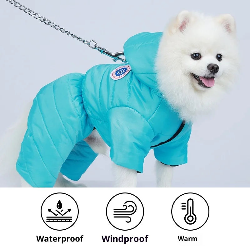Dog Clothes Autumn and Winter Thickened Cotton Clothes Small Dog Teddy Bimi Bear Winter Warm Waterproof Four-legged Clothes Oasis Select