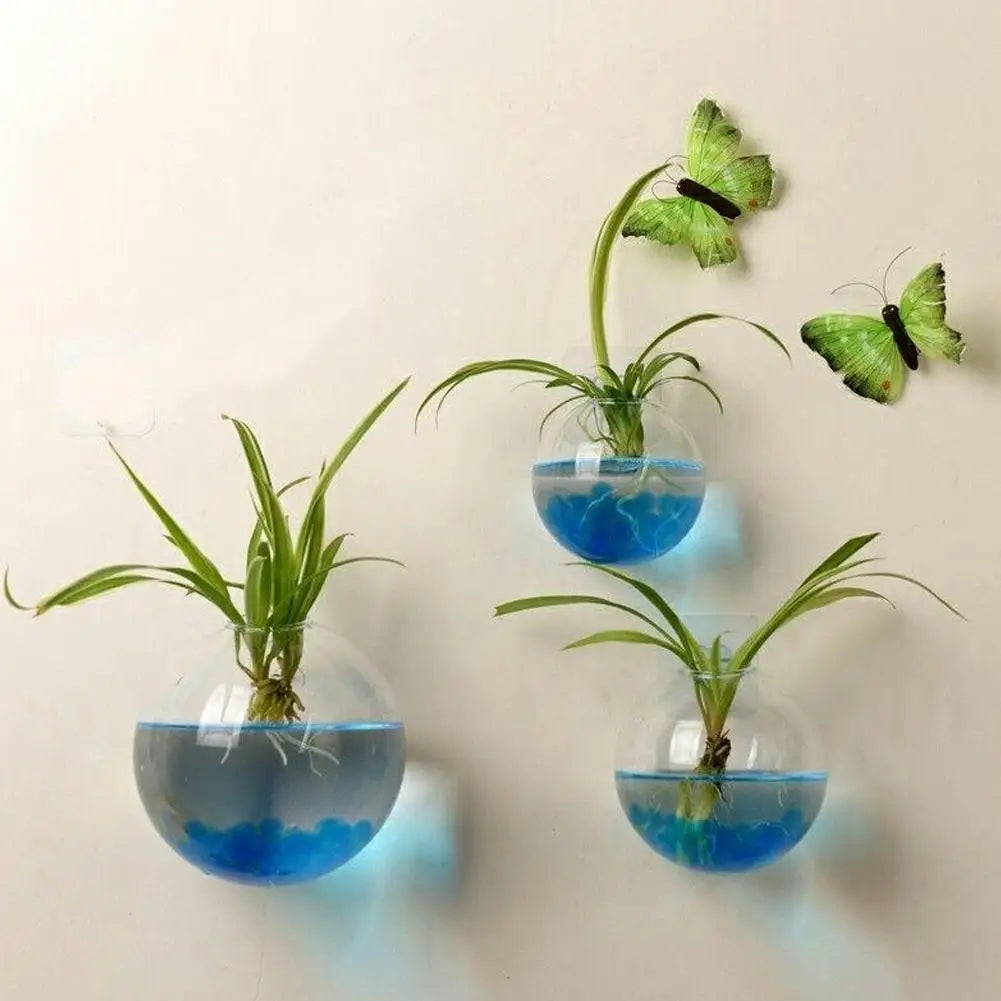 Wall Mounted Hydroponic Vase Betta Fish Tank Creative Acrylic Planter For Home Office Wall Decoration Space Saving Tools Oasis Select