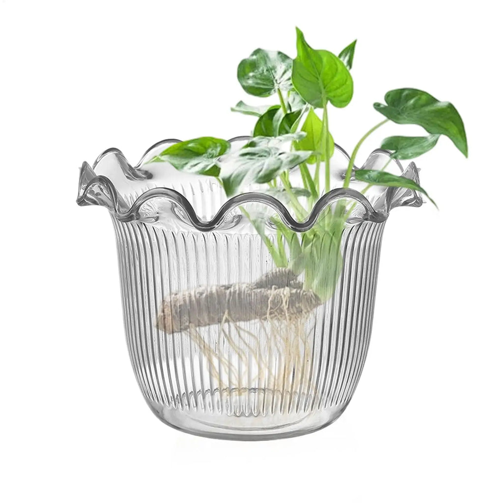 Decorative Vases for Home Decor Water Plant Vase Hydroponic Planter PET Vase transparent Water Plant Vase Hydroponic Planter Oasis Select