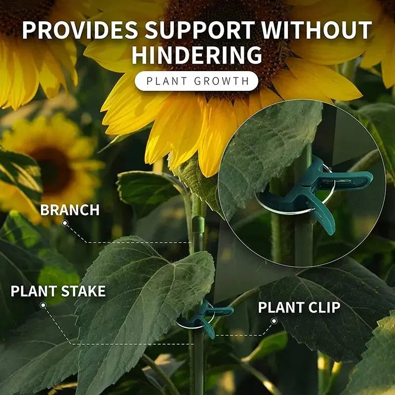 Plant Fixed Clips Reusable Garden Greenhouse Bracket for Fixed Plants Vine Flower Seedling Tomatoes Support Garden Supplies Oasis Select