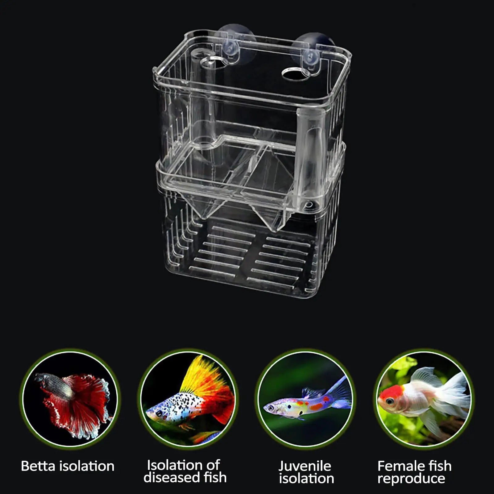 Aquarium Fish Breeder Box Clear Betta Fish Tank Fish Breeding Isolation Box Hatching Incubator Box For Baby Fish Shrimp Trap Box Oasis Select