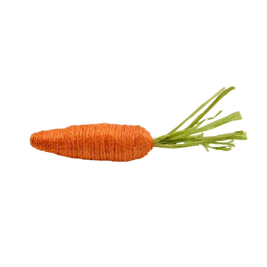 Easter Carrot Tray Decoration Twine Decoration Scene Layout Oasis Select