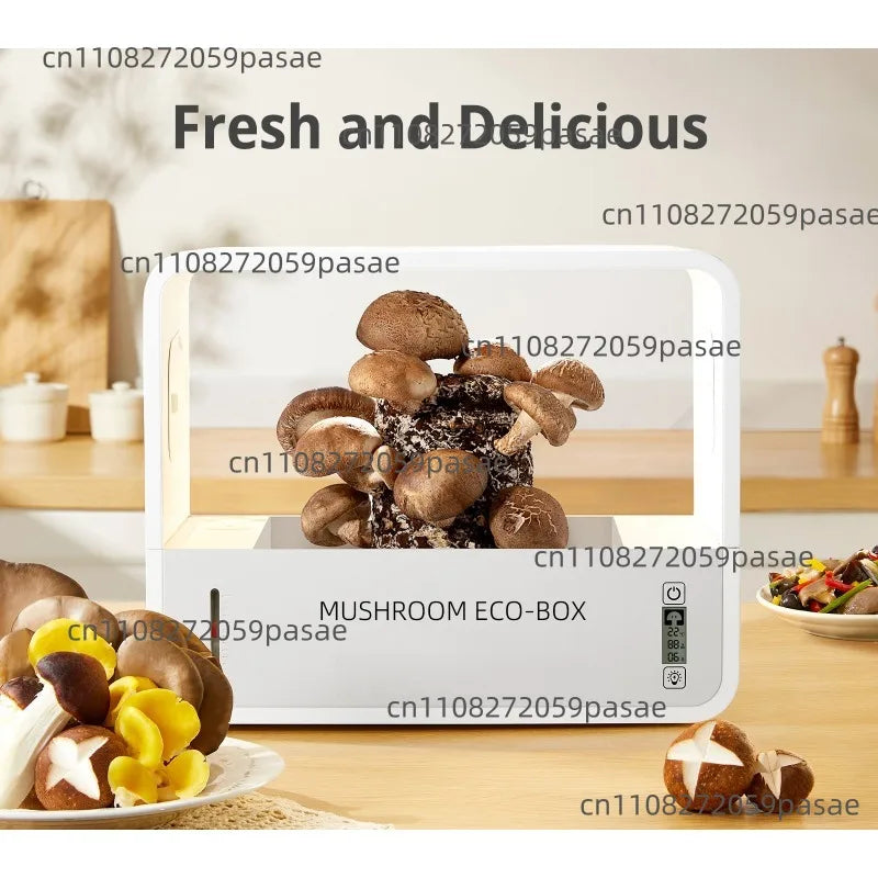 Intelligent Mushroom Cultivation Box – Auto Humidification